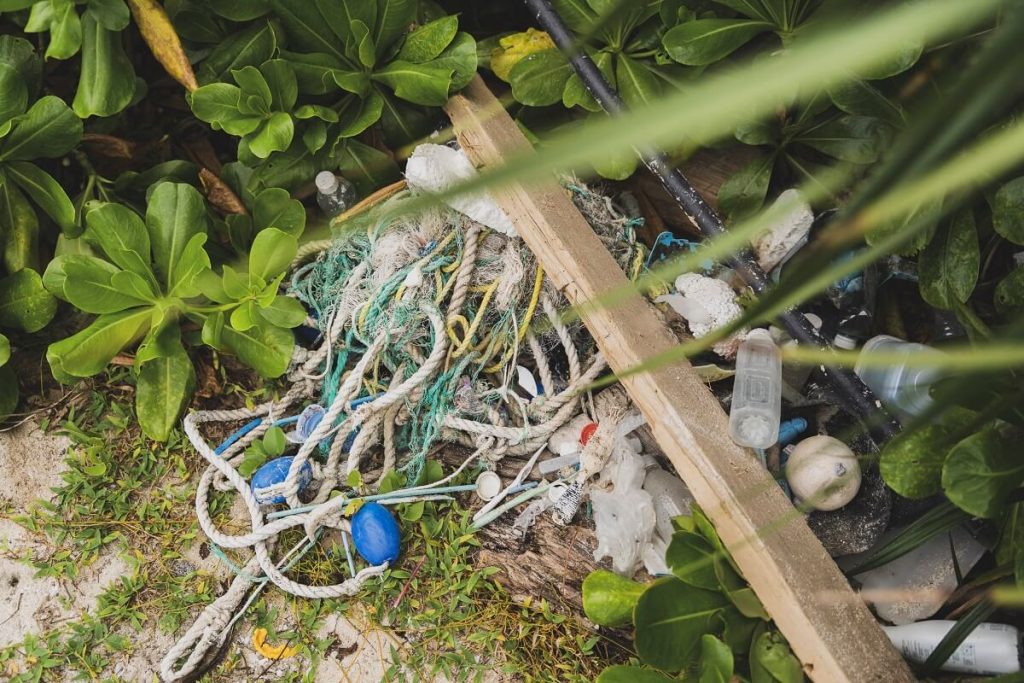 海岸に落ちている海洋ごみやプラスチックごみの写真