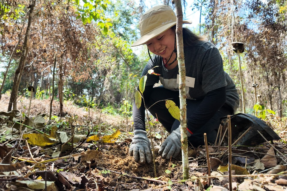 10年間で10万本の植樹を目指す大型プロジェクト始動<br>「オランウータンの森再生プロジェクト」