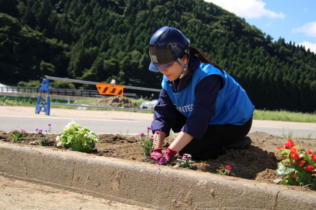 花壇に花を植えるボランティア