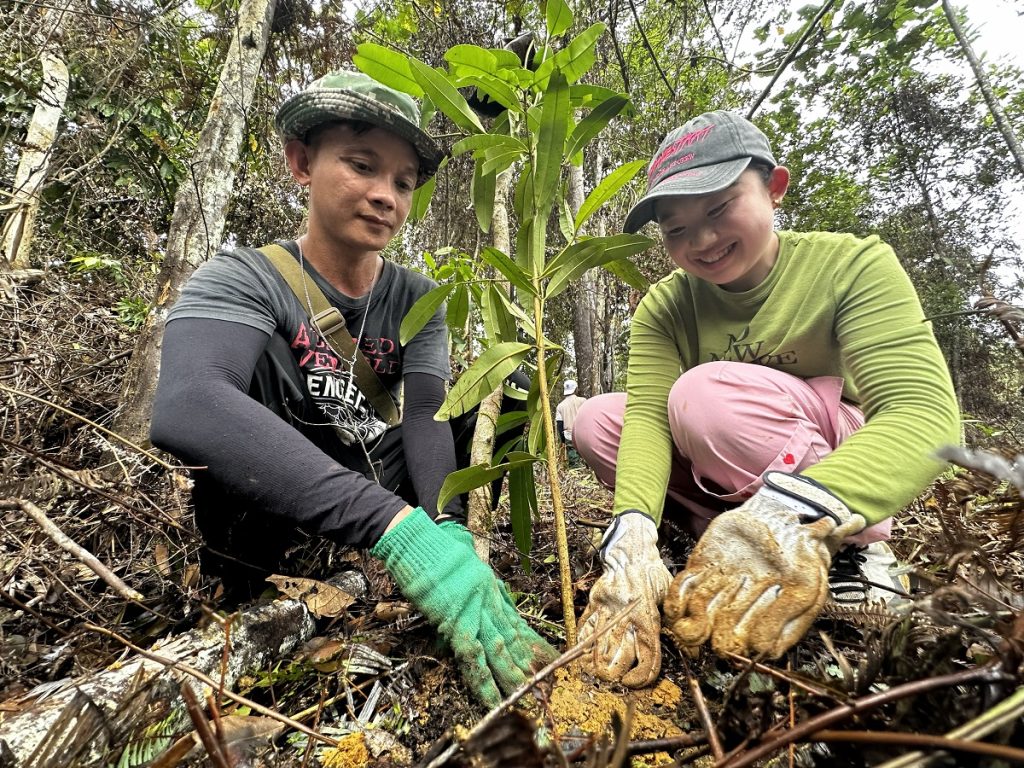 マレーシアのボルネオ島で行われた植林活動の様子